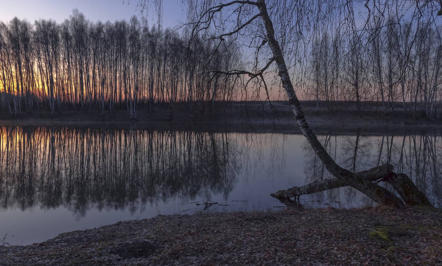 , Макеев Алексей