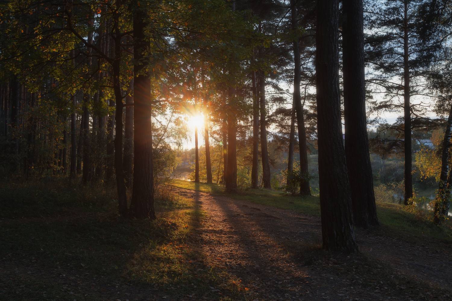 природа, закат, пейзаж, Московская область, Мартыненко Дмитрий