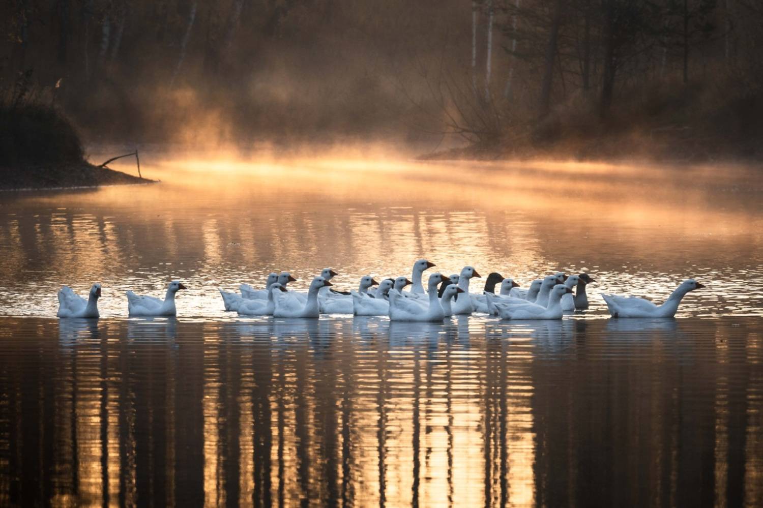, Евгений Важенин