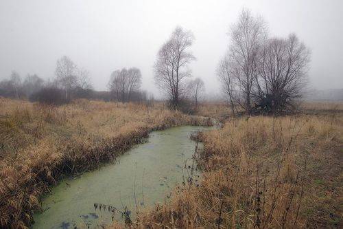 Последнее дыхание осени