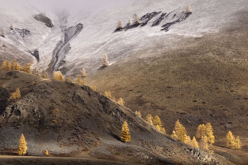 Осень-Зима фото превью