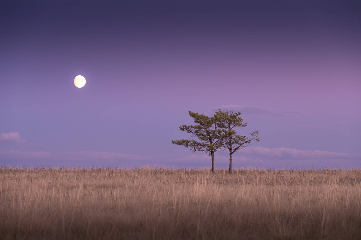 , Евгений Иванов