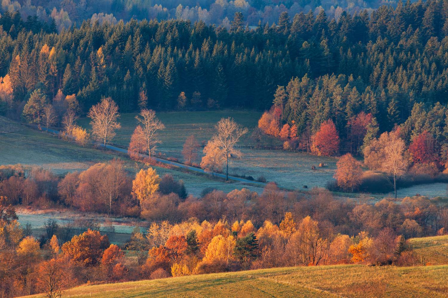 ,  Mirosław Pruchnicki