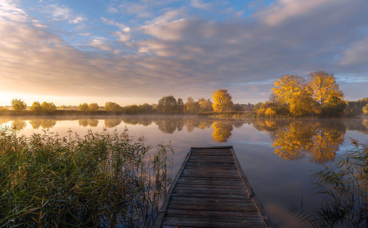 , Руслан Авдевич