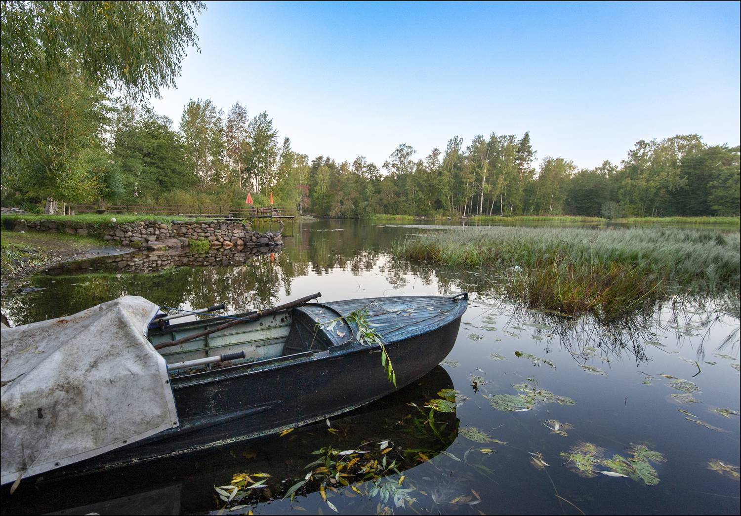 , Георгий Сапожников