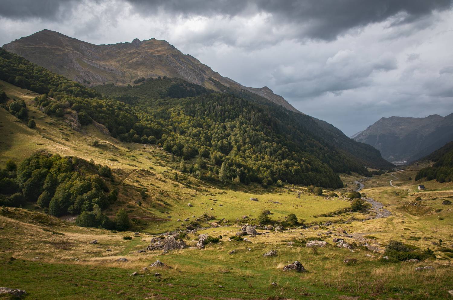 , Алекс Римский