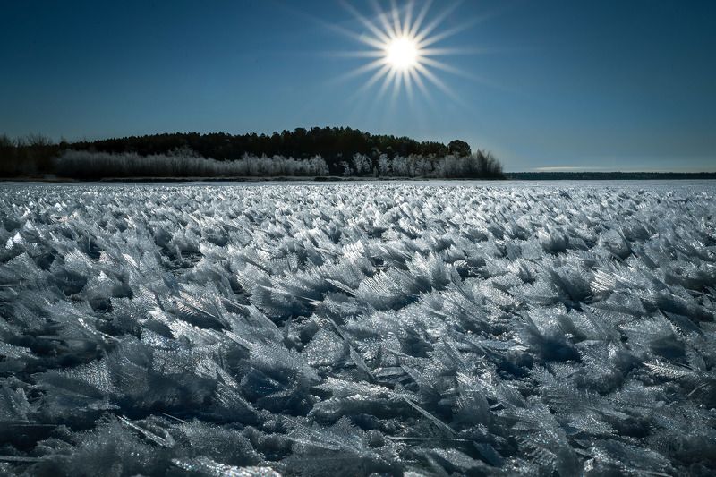 Ледяные перья Арантура фото превью