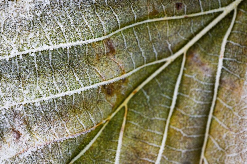 2023 фото превью