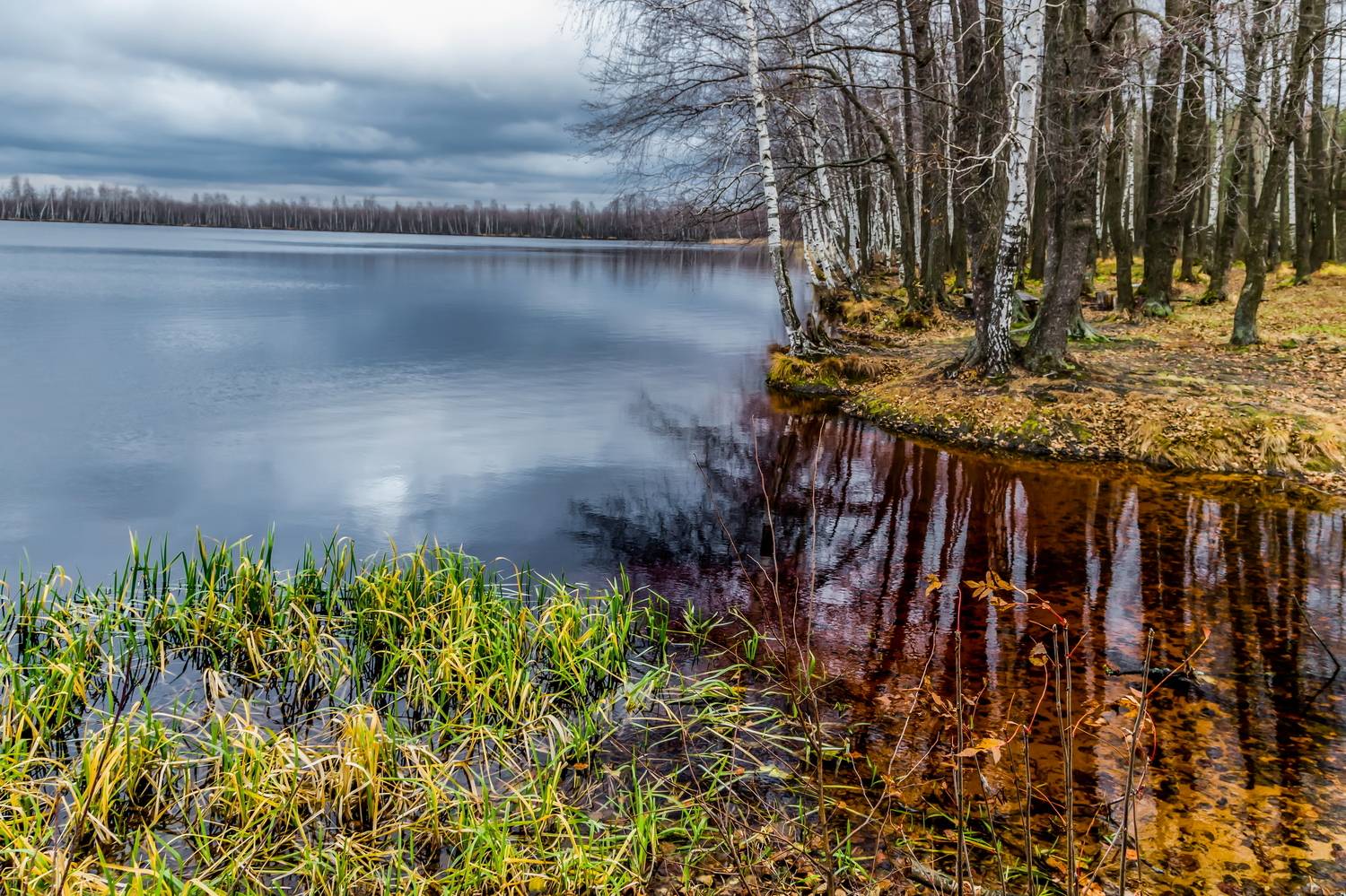 осенЬ. озеро, березки, пасмурно, пейзаж, Юрий Морозов