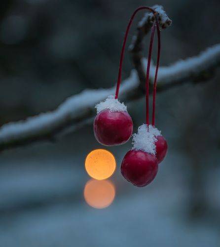 Первый снег