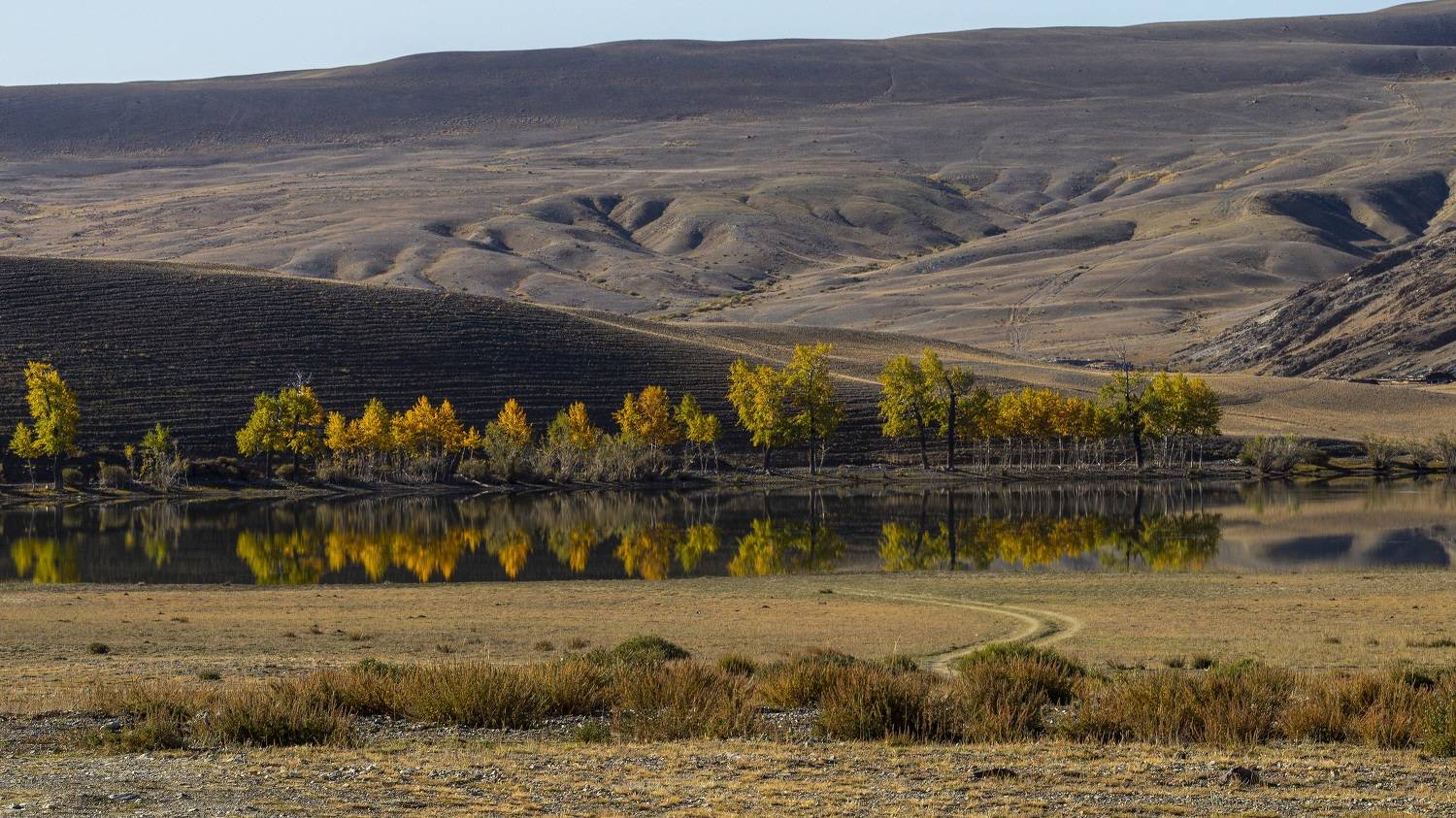 озеро, осень, оазис, Каверин Владимир
