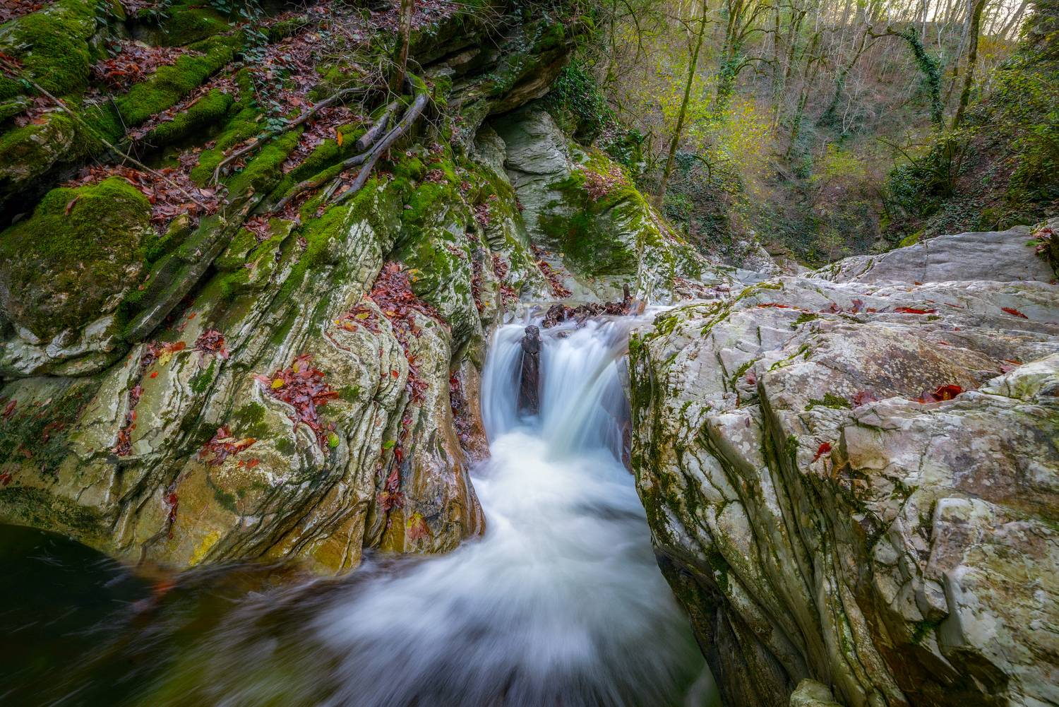 , Сергей Тихомиров