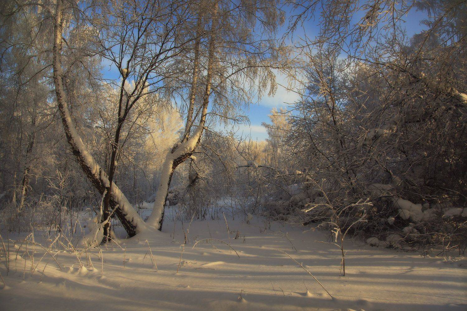 , Алексей Хахлов