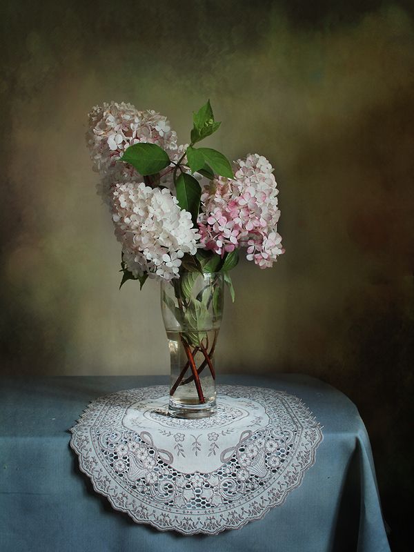 цветы, красота Гортензия фото превью