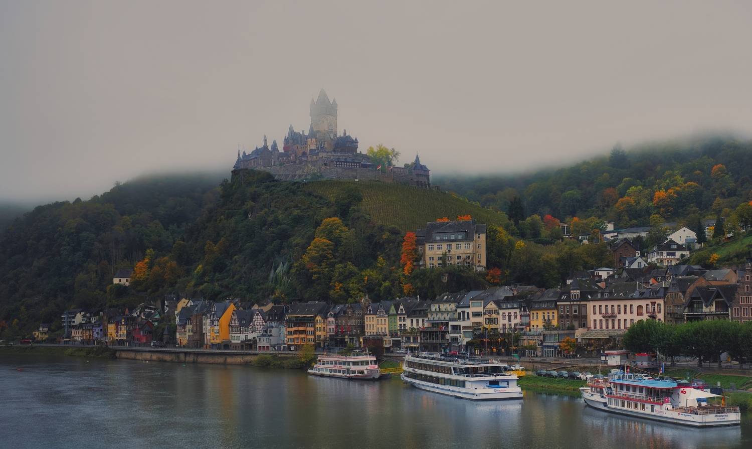 мозель,виноград,кохем замок,  VIktor