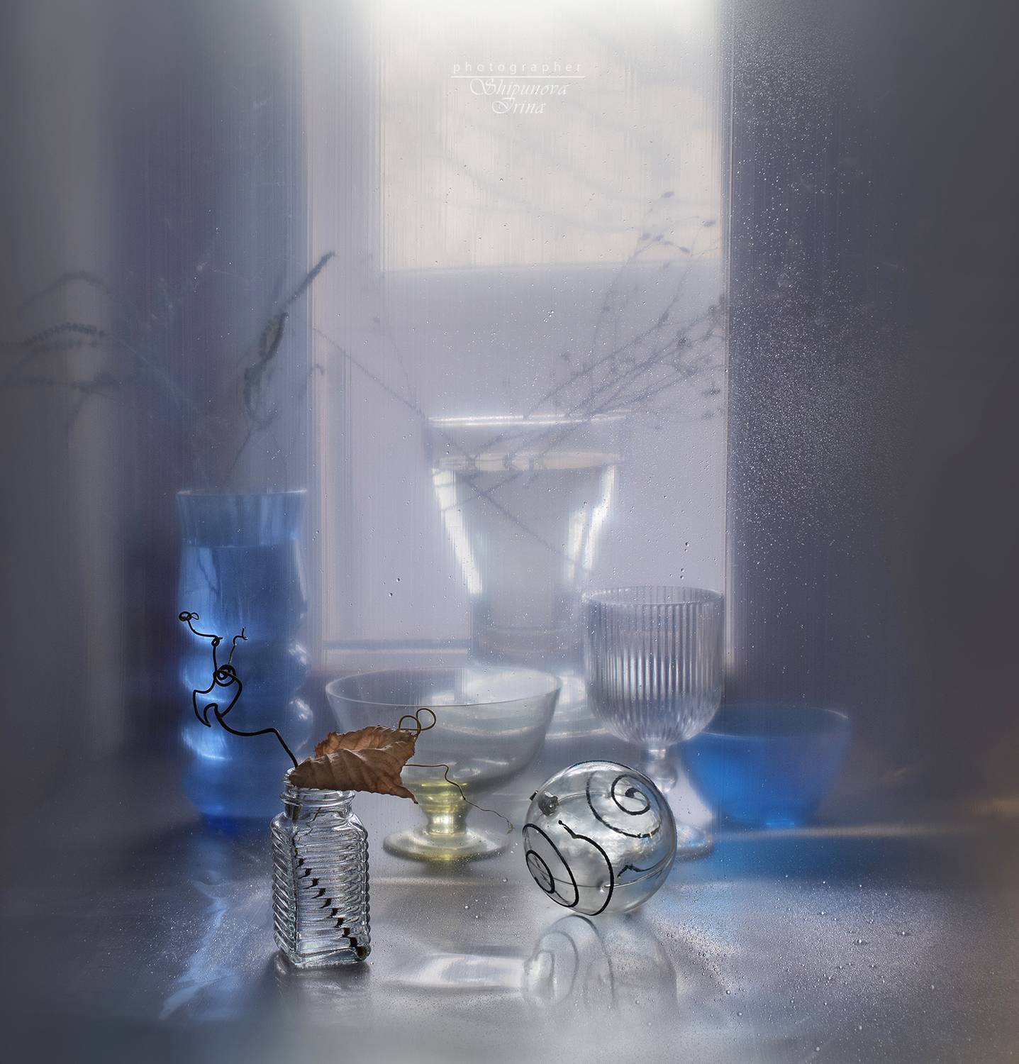 , Ирина Шипунова