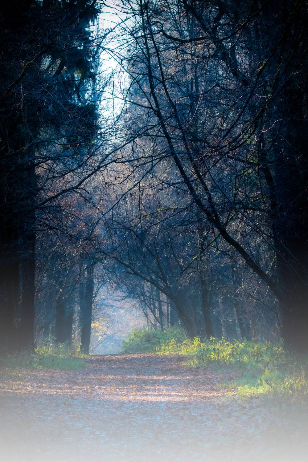 , Михаил Ездаков