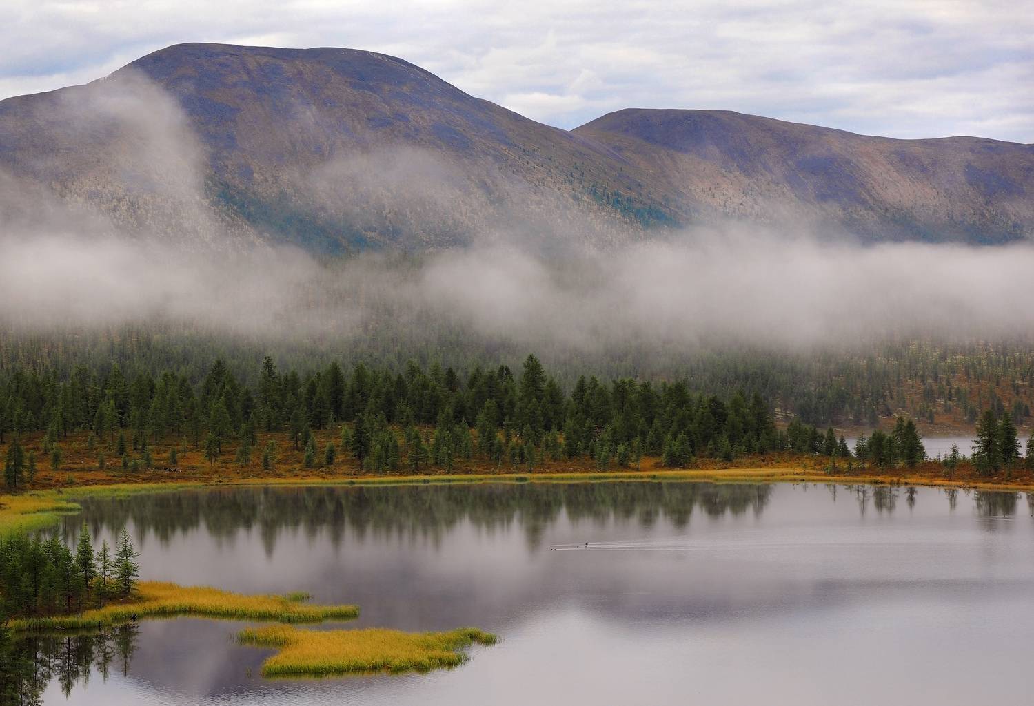 , Александр Попов