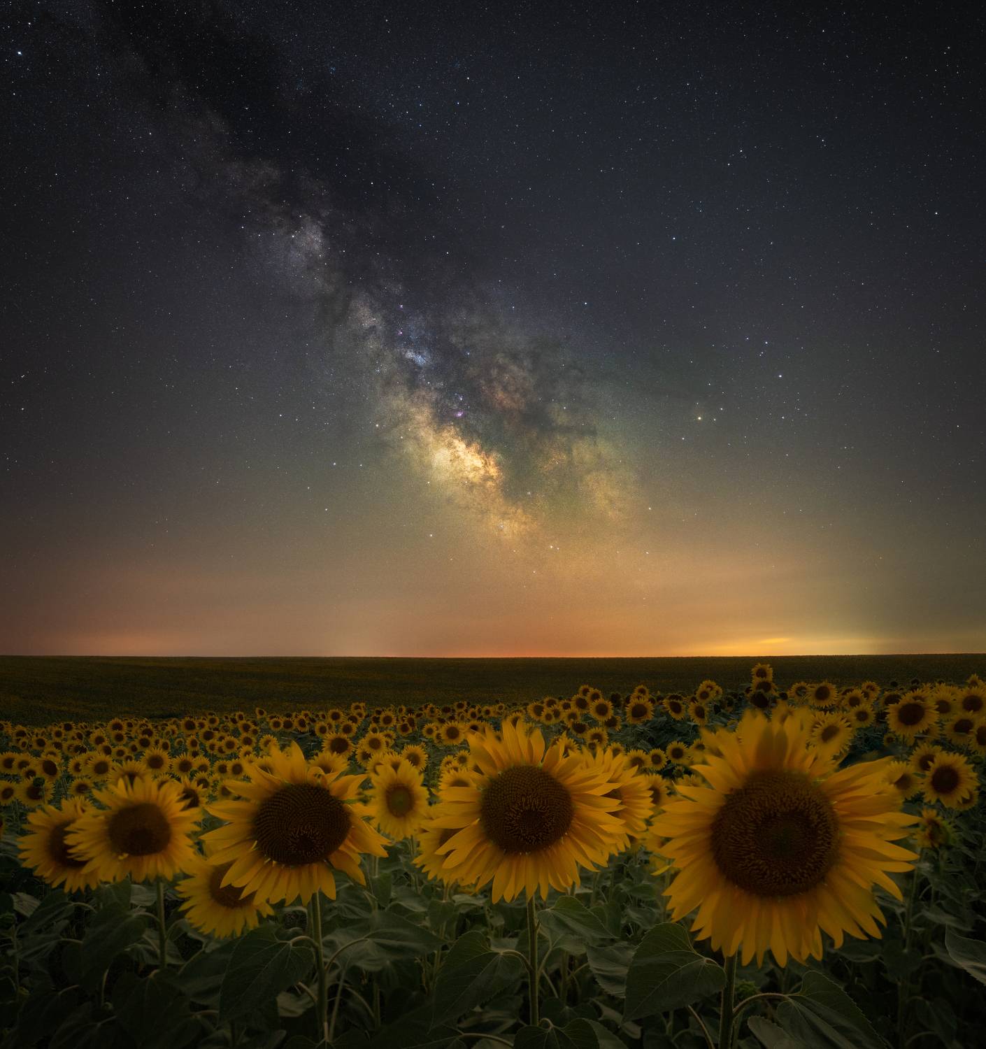 sunflowers night milkyway stars, Boyko Valchev