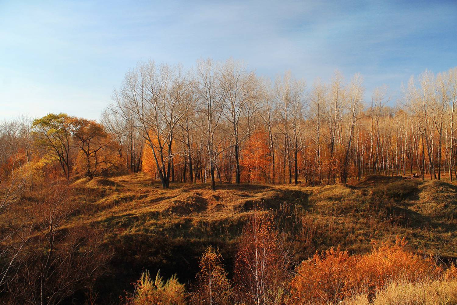 осень, сибирь, россия, Курочкина Диана
