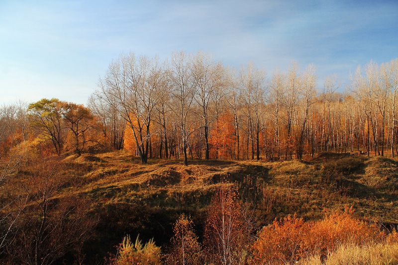 осень, сибирь, россия . фото превью