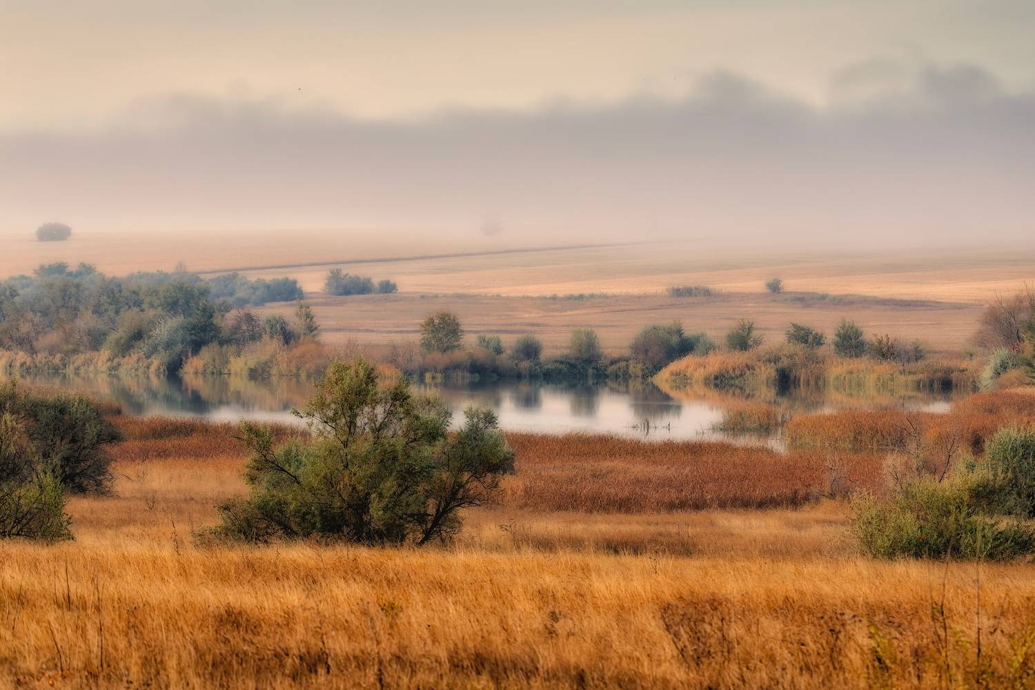 , Подосинников Максим