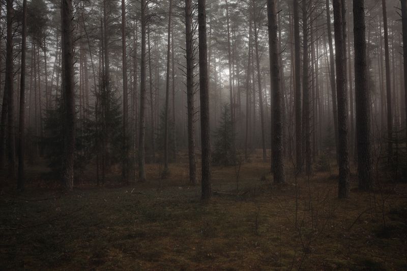 За 2 недели до развода. фото превью