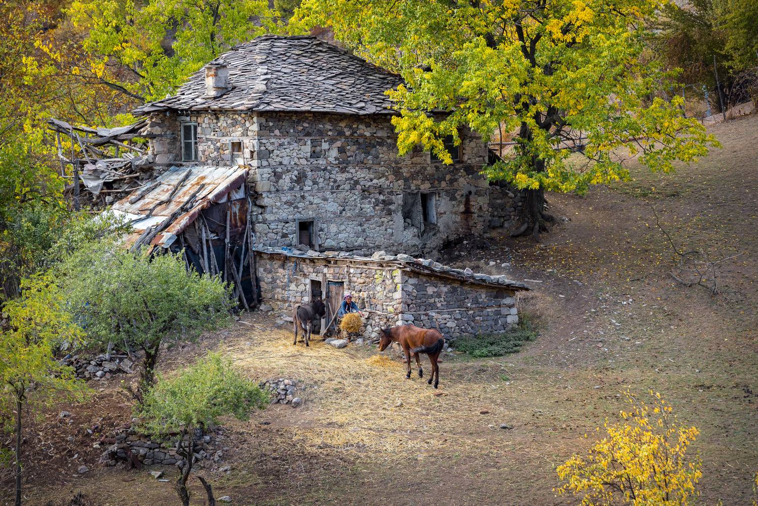 , Mariyana Atanasova - Lucero