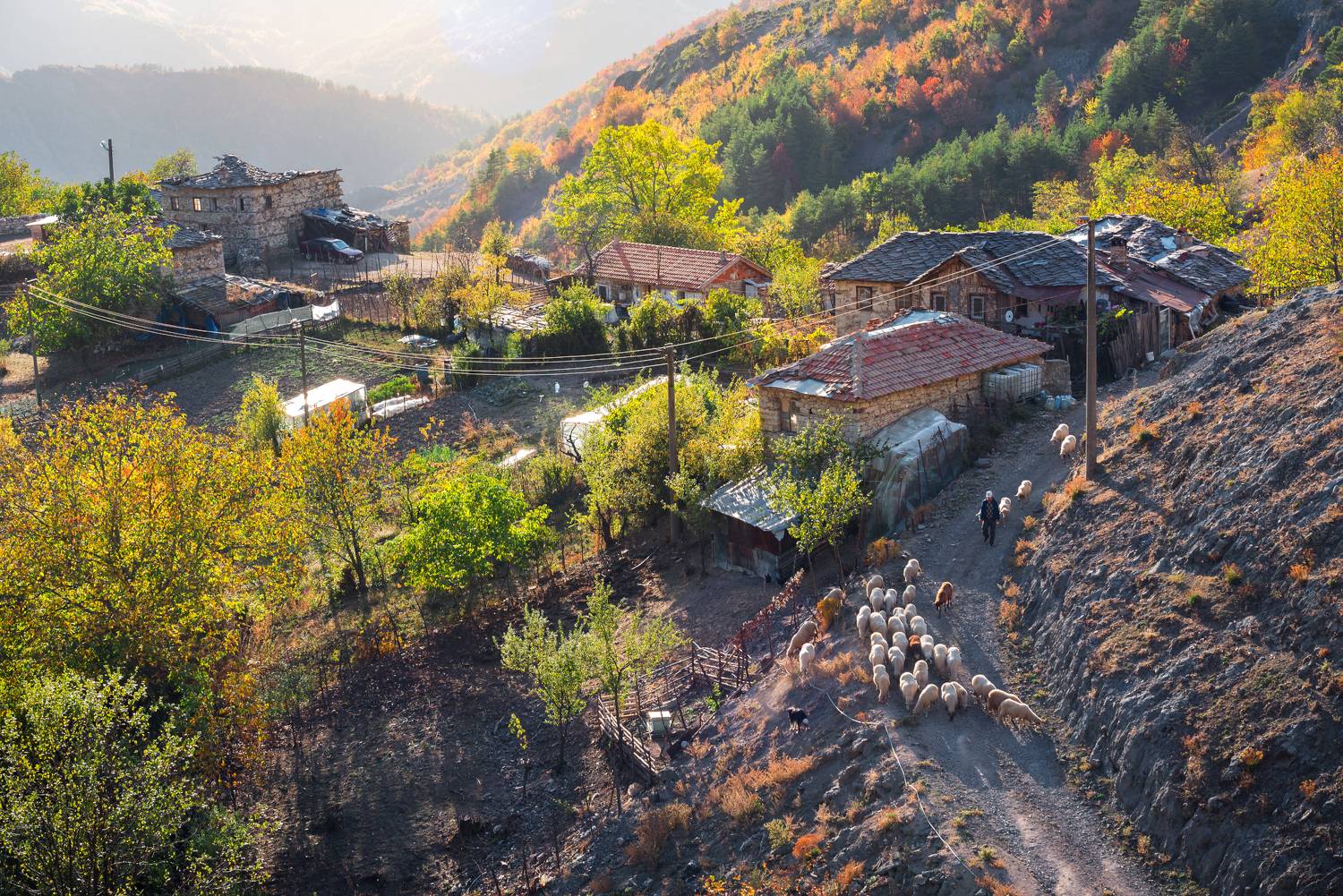 , Mariyana Atanasova - Lucero