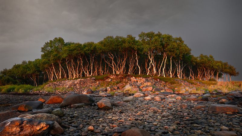 Из серии Соловки фото превью