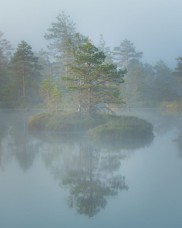 #foggy, #foggymorning, #earlymorning, #morningmotivation, #foggysunrise, #visitestonia, #bogs, #eestirabad, #terviserajad, #ilusadeestipaigad, #beautifuldestinations, #beautifulplaces, #placestogo, #moments, #destinationearth, #reflections, #reflection_sh --- фото превью