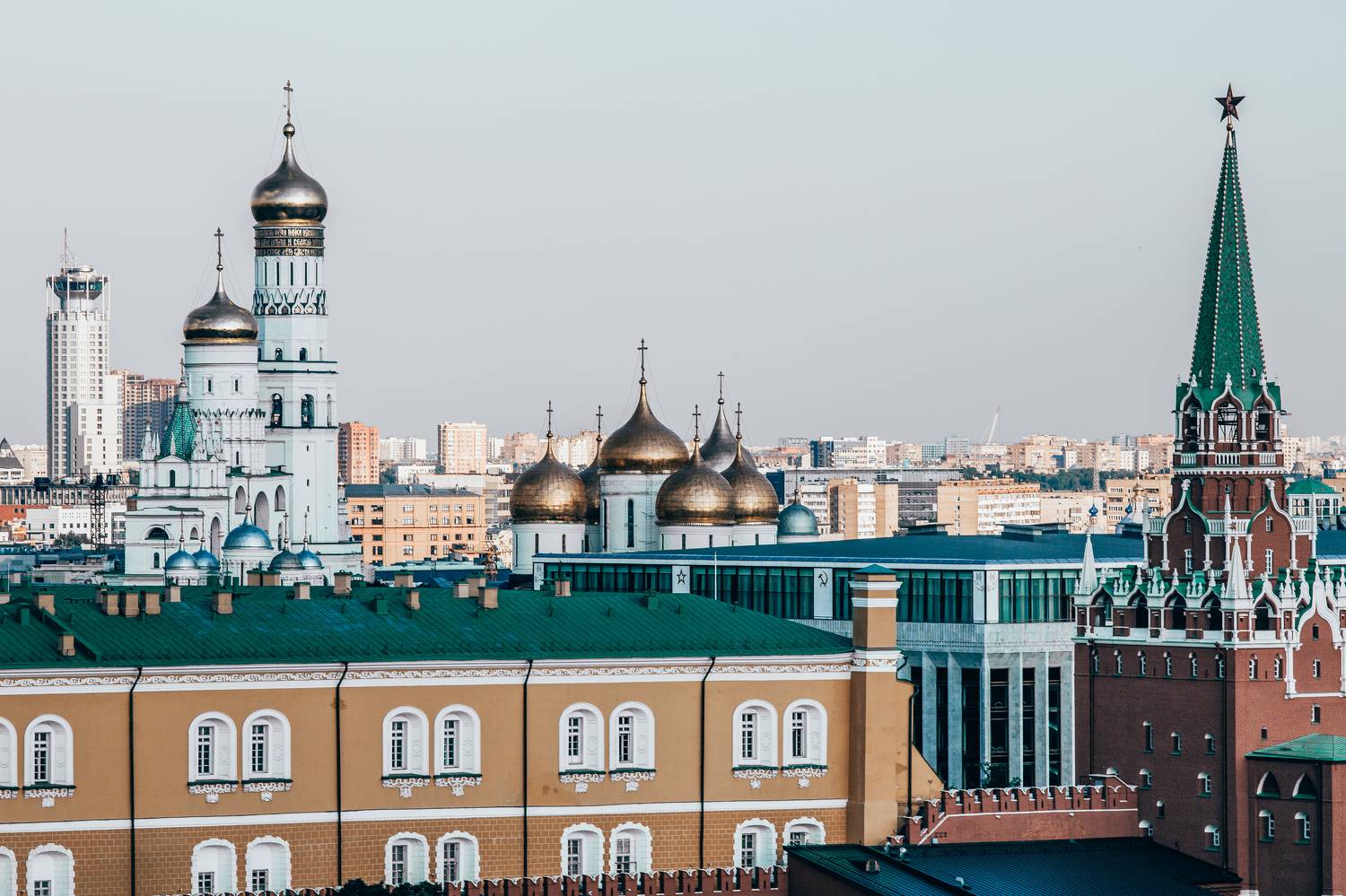 , Трепольский Дмитрий