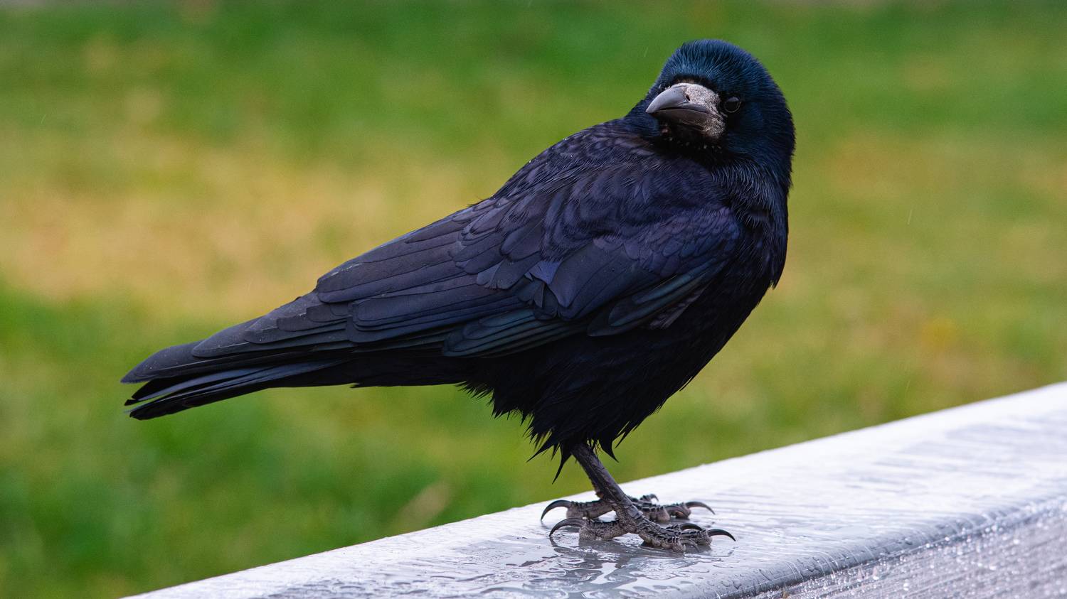 , Вертиков Юрий