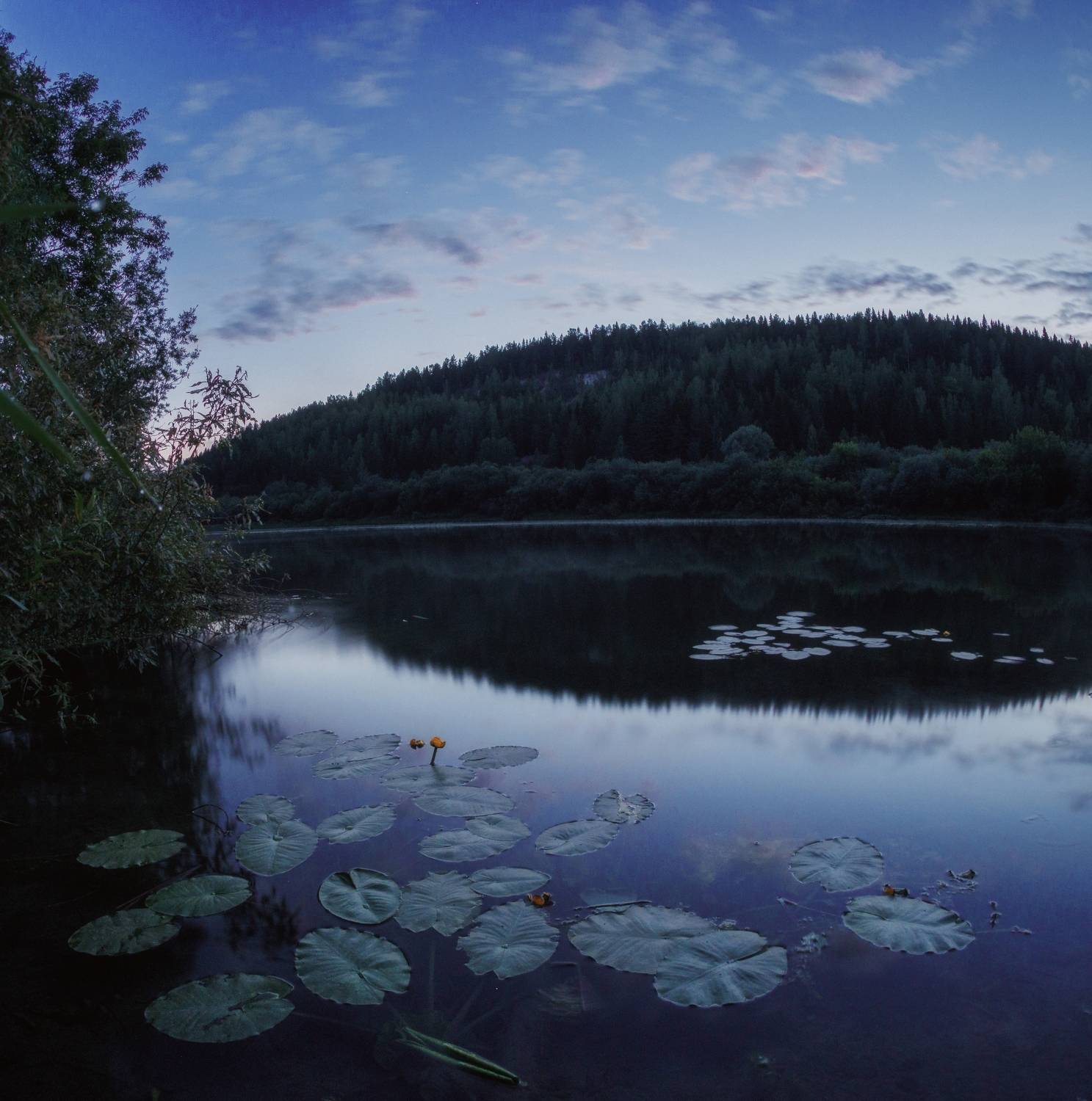 , Котов Андрей