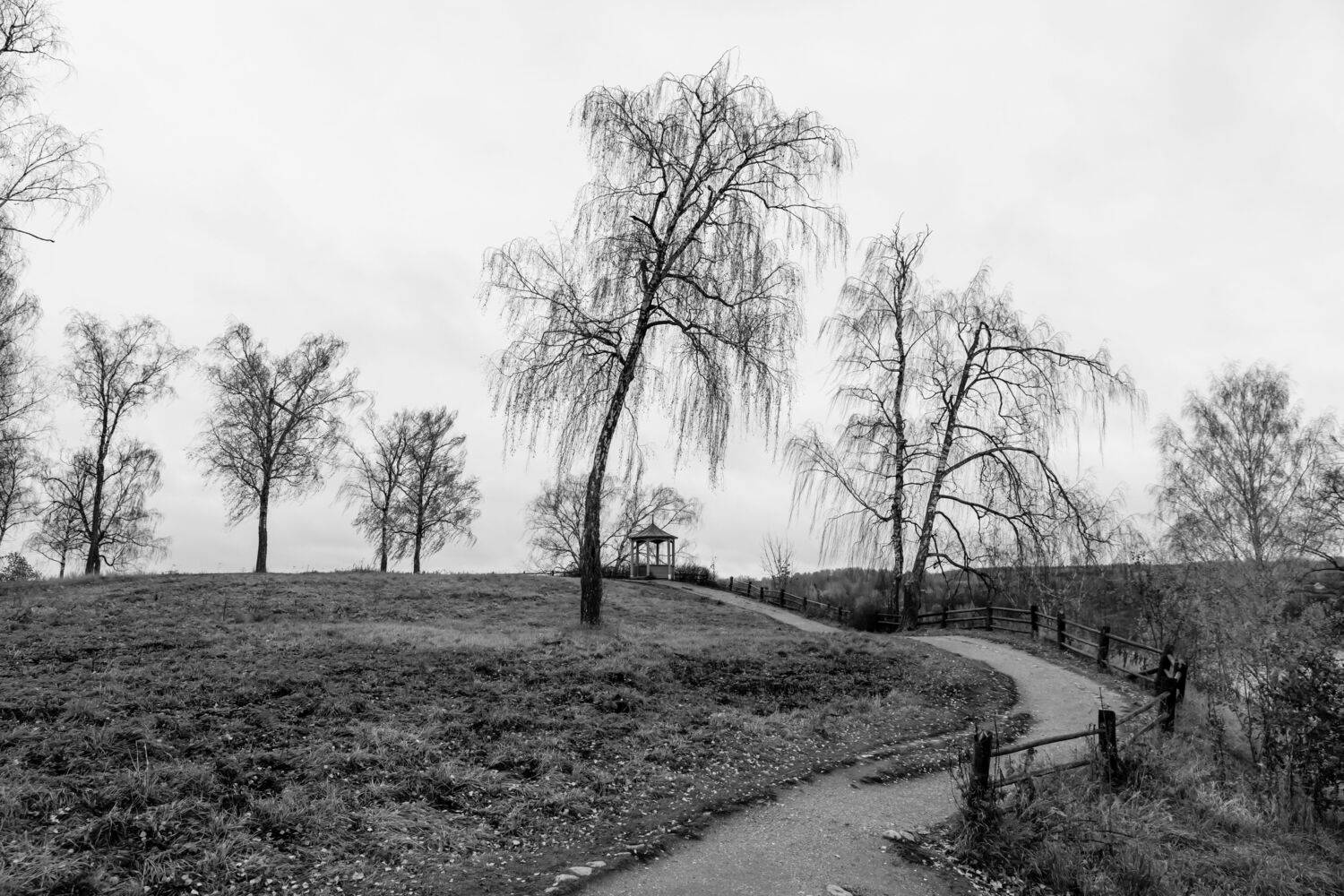 , Шилов Александр