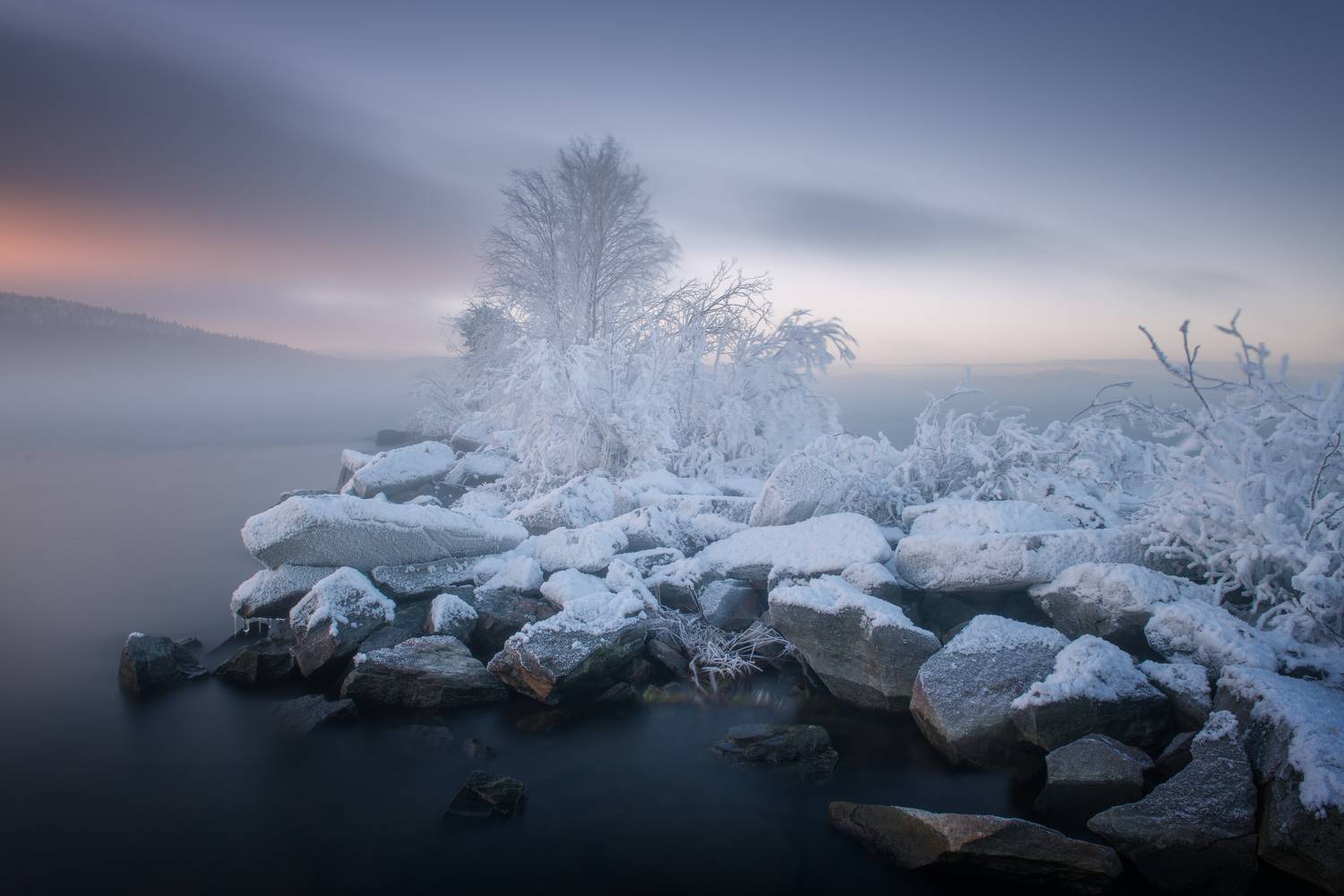 , Максим Евдокимов
