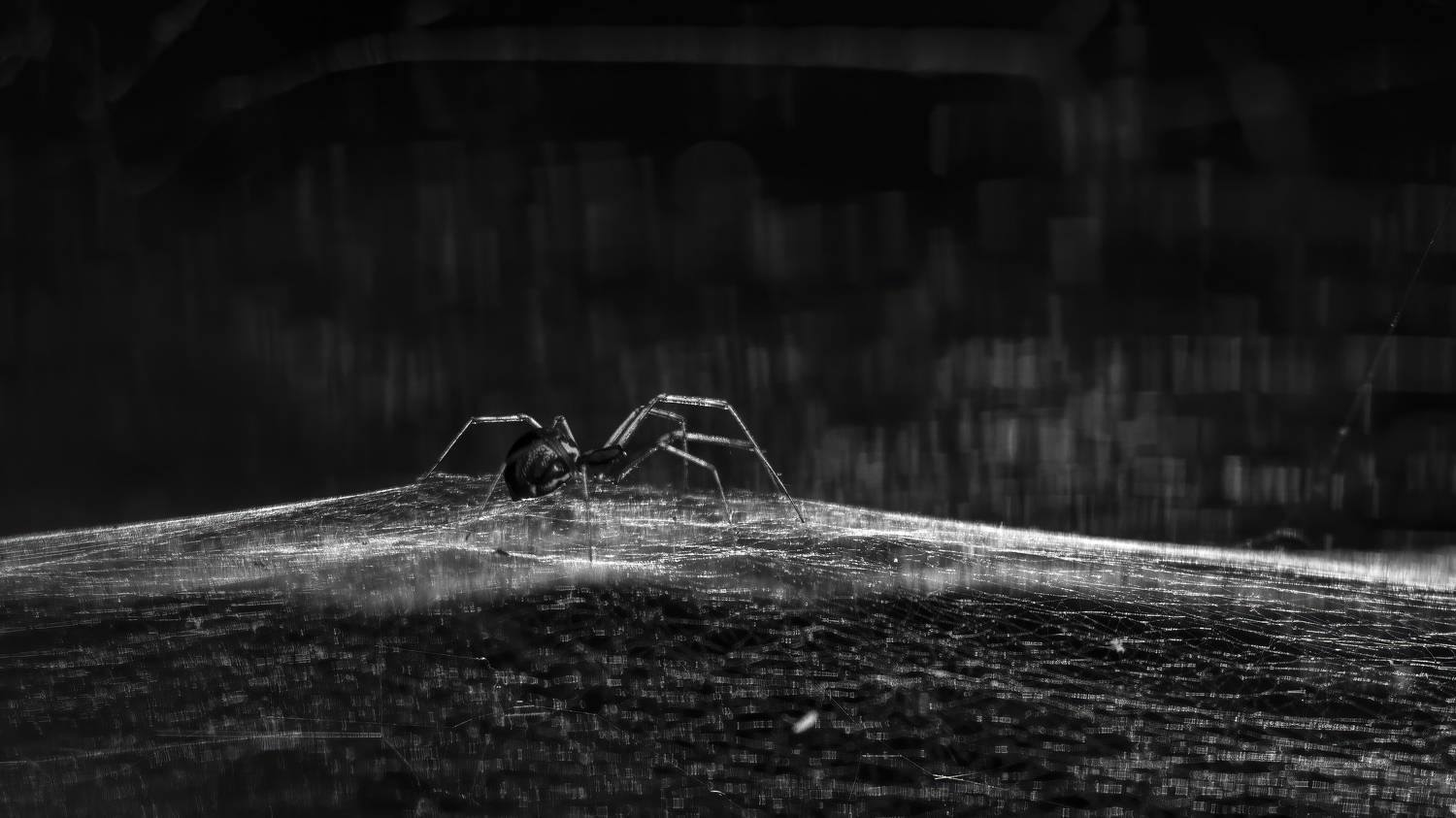 макро, Денис Пронин