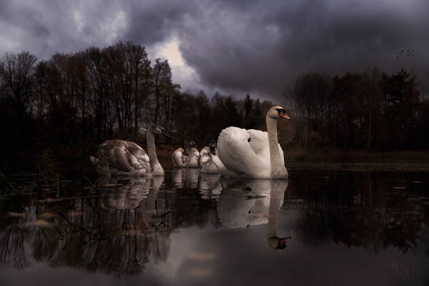 , Эдуард Гордеев