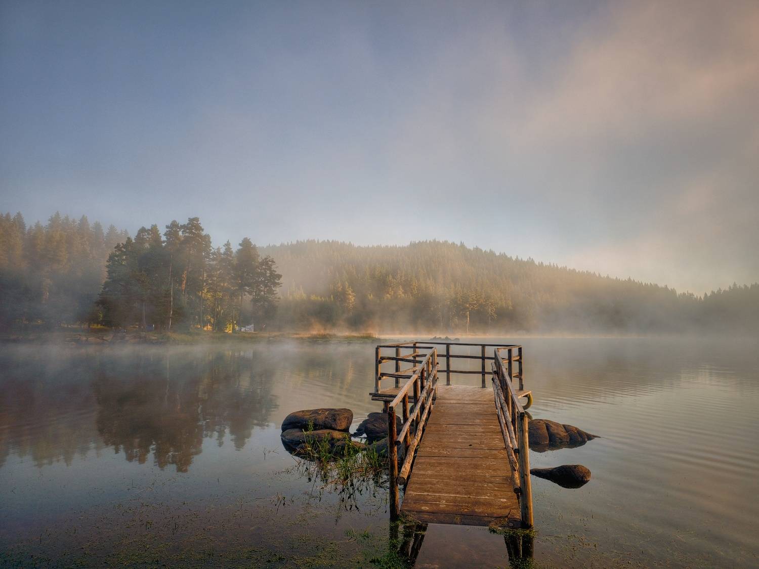 , Герчев Николай