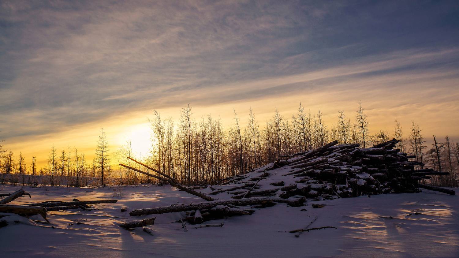 , Дмитрий Цыпляев