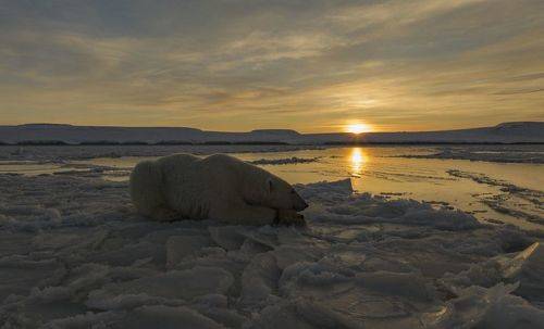 На закате...