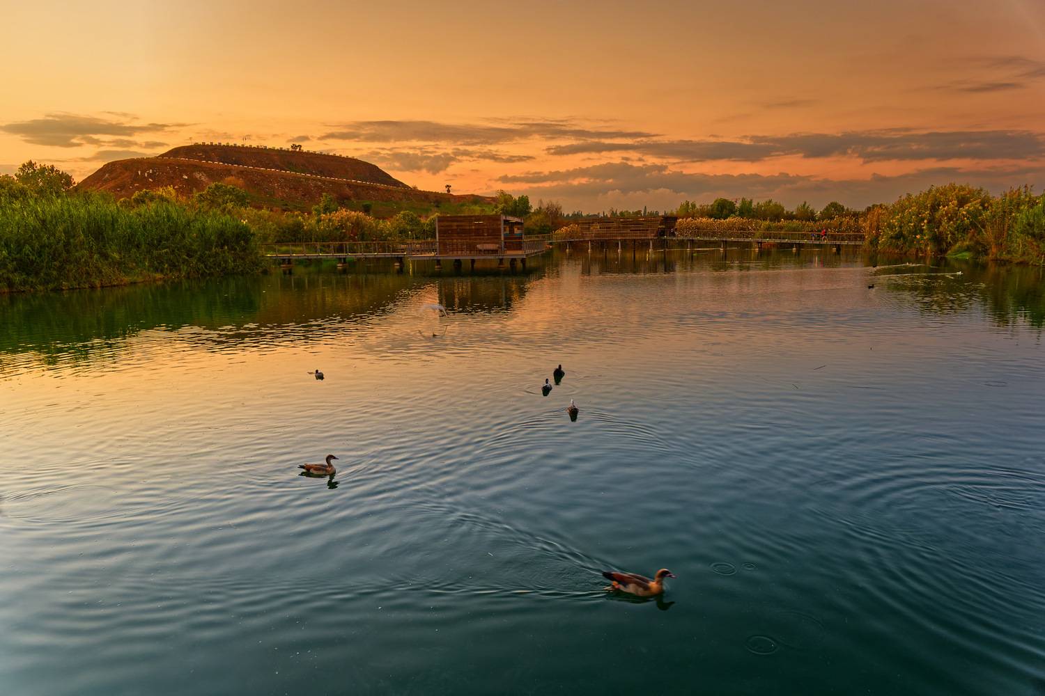 Eco Park Hod Hasharon. Автор: David Solodar , David Solodar