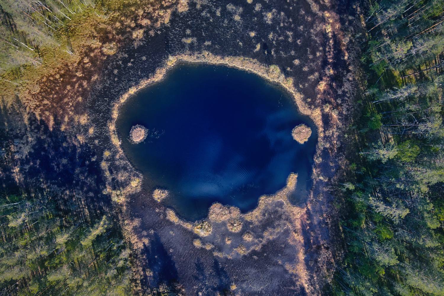 , Нуреев Камиль