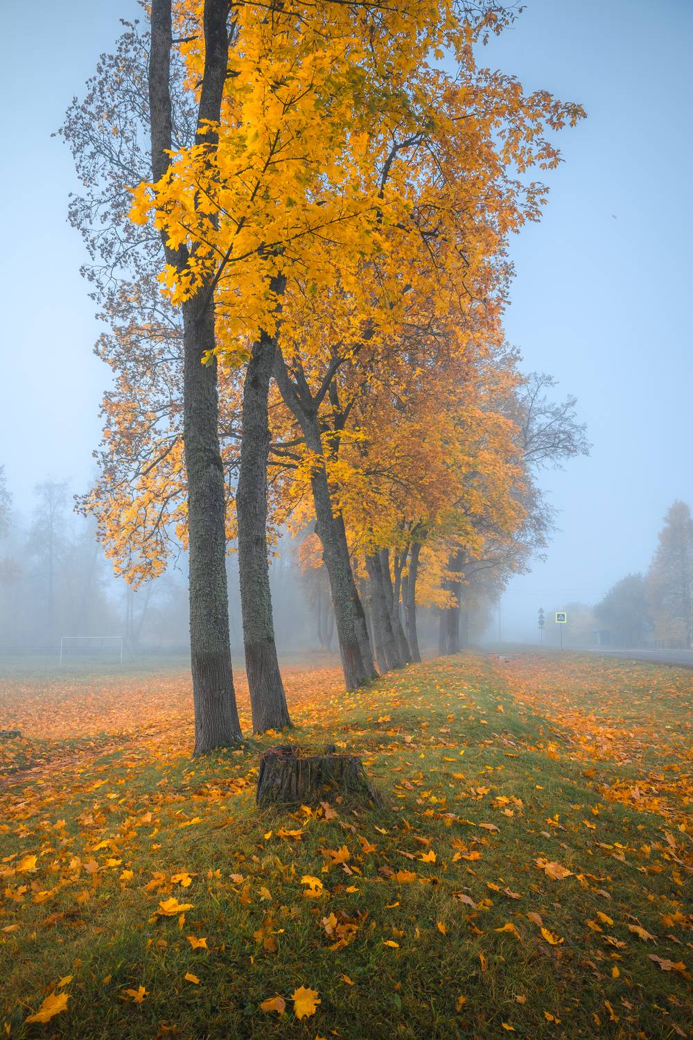 , Руслан Авдевич