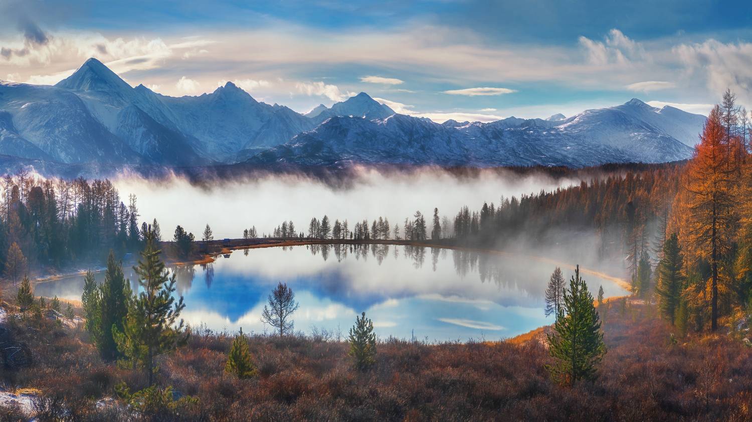 , Шварцман Евгений