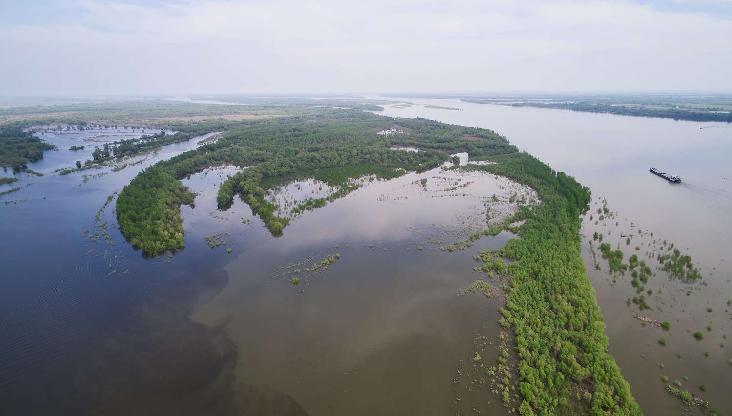 phantom 4, volgograd, russia, wildlife, volga, , Сторчилов Павел