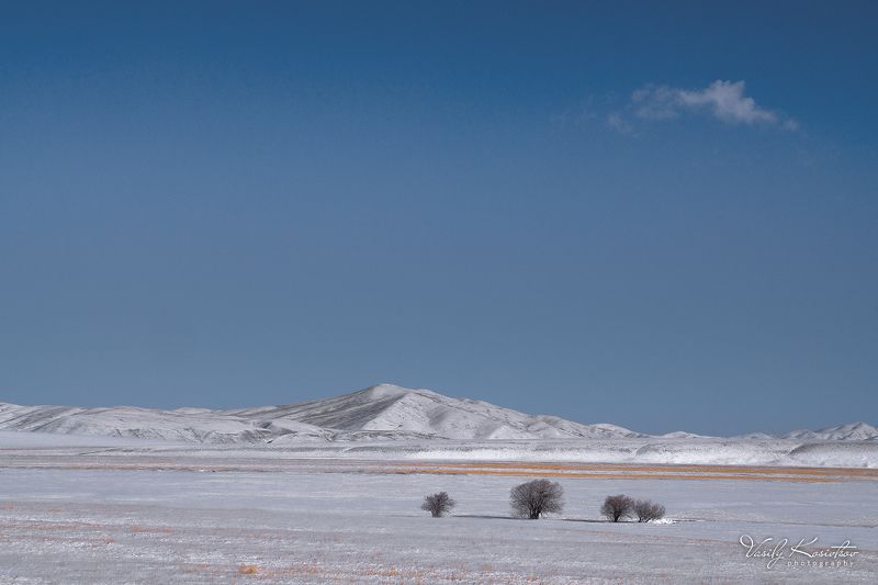 * * * * фото превью