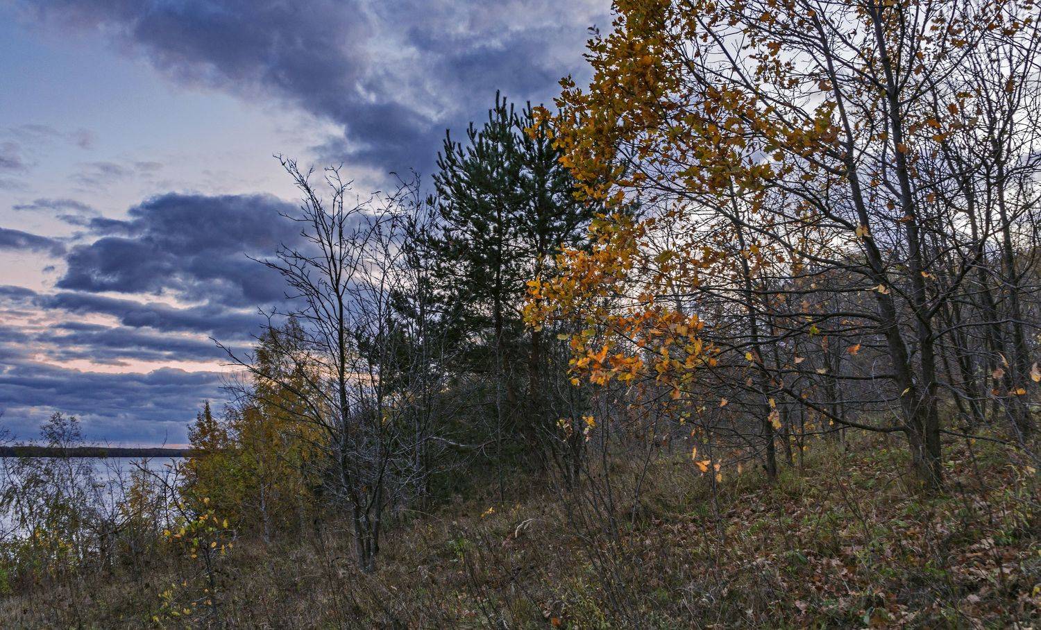 , Шитов Александр