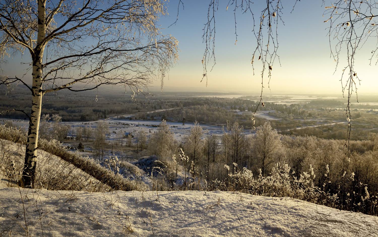 , Алексей Хахлов