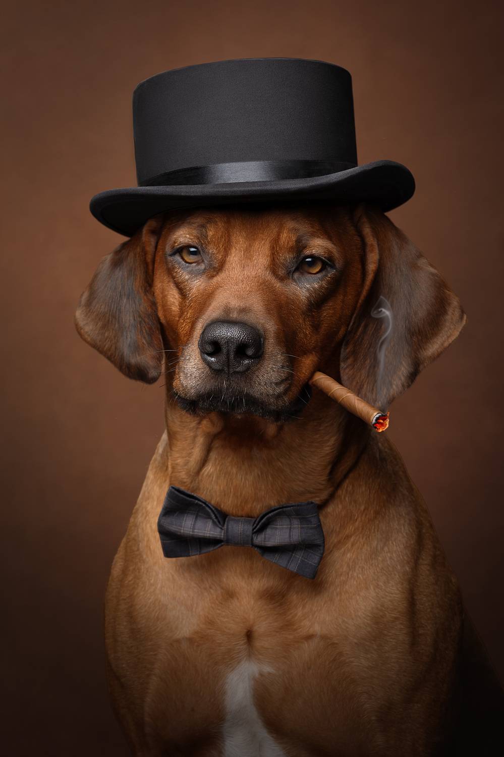 , Светлана Писарева